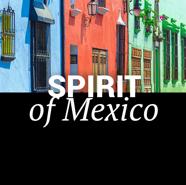 Spirit of Mexico